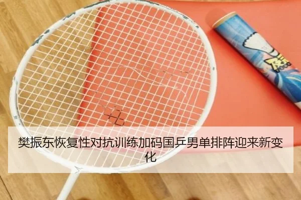 樊振东恢复性对抗训练加码国乒男单排阵迎来新变化 - milanosports